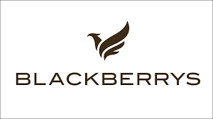 Blackberrys New